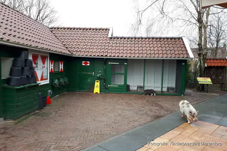 Theatervoorstelling en boekenruilmarkt op Kinderboerderij Dierendorp