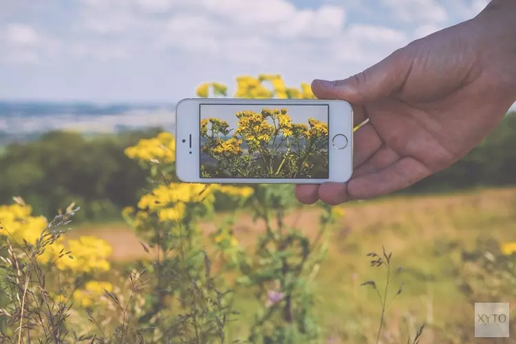 Kinderactiviteit Fotograferen met je mobiel bij het Koetshuijs in Heemskerk