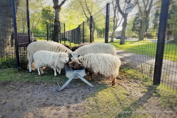 Kinderboerderij vanaf 2 juni beperkt open