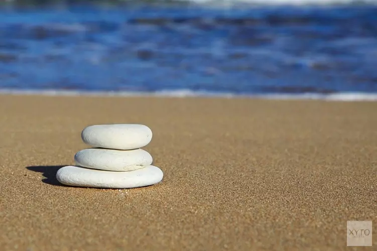 Vissen, speuren en knutselen op het strand van Wijk aan Zee