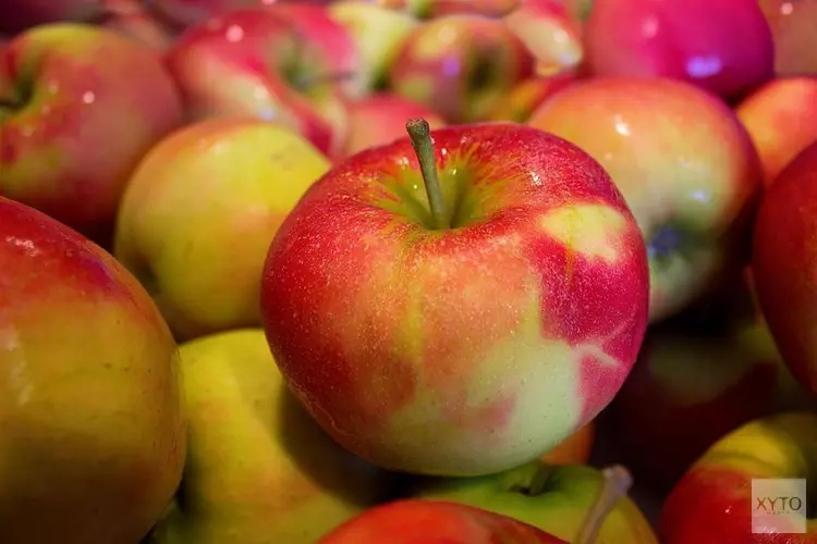 Leer over het oogsten van groenten en fruit tijdens de Baakbelevenis op 31 augustus