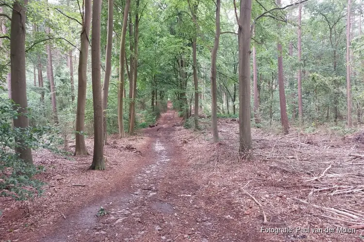 34 hectare aan nieuw bos in Noord-Holland