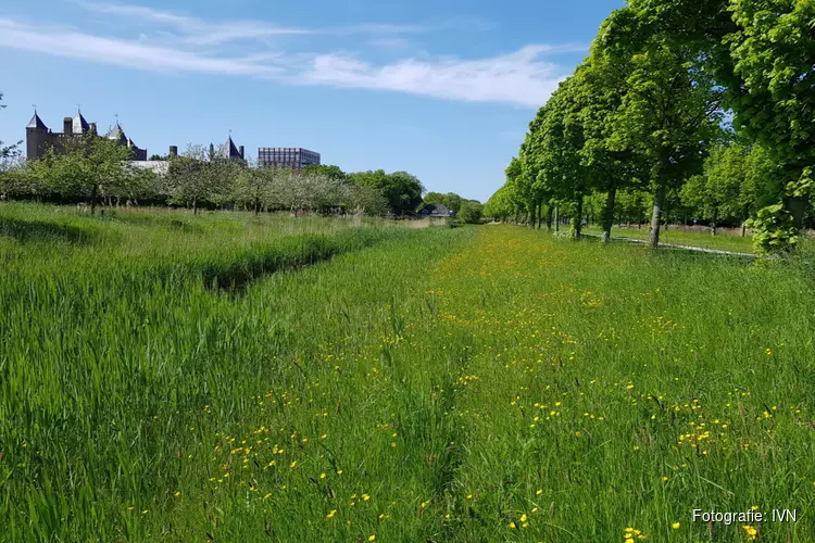 Het gaat zomeren in Park Assumburg