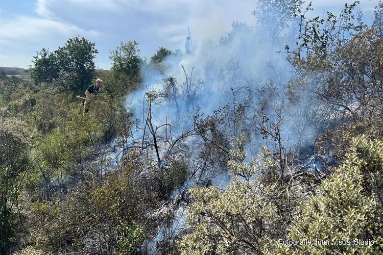 Brandweer met man en macht paraat bij flinke natuurbrand in Heemskerk