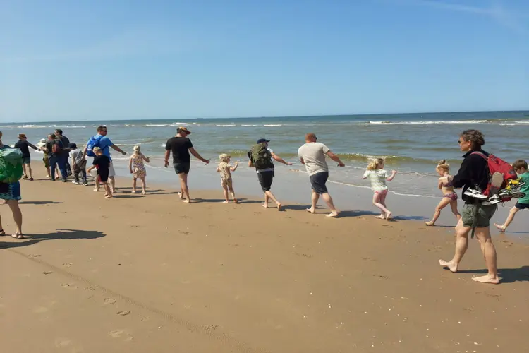 Korren strand Heemskerk - Ontdek wat er in zee leeft!