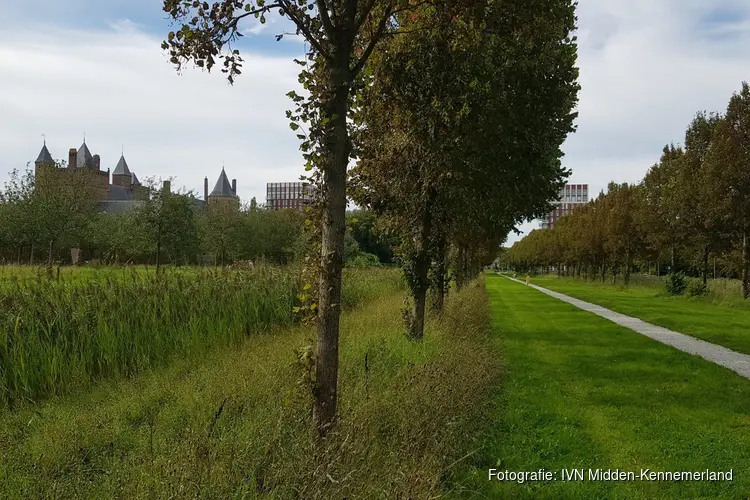 De herfst komt eraan in Park Assumburg