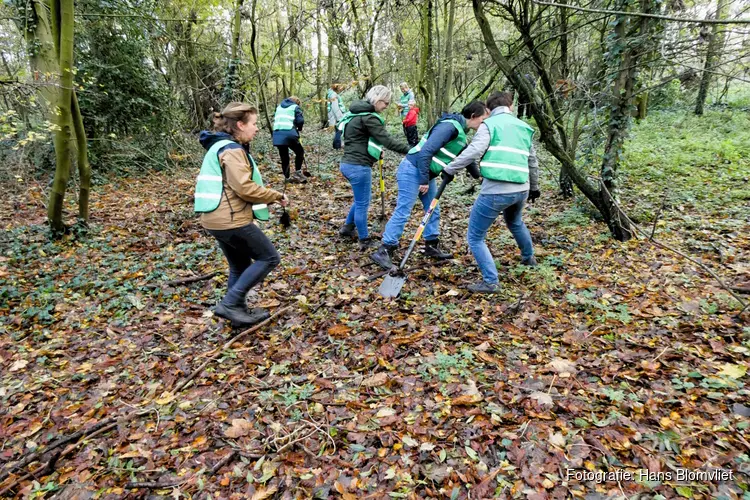 Het jaar afsluiten in de natuur met Meer Bomen Nu