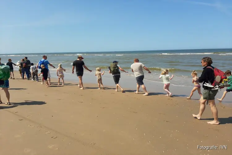 Korren op het strand van Heemskerk