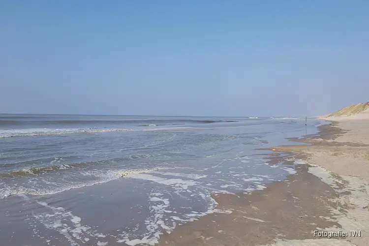 Het zomert na op strand Heemskerk