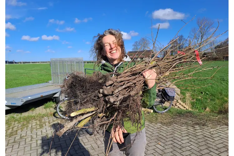 1 maart weer gratis boompjes en struiken in Noord-Kennemerland